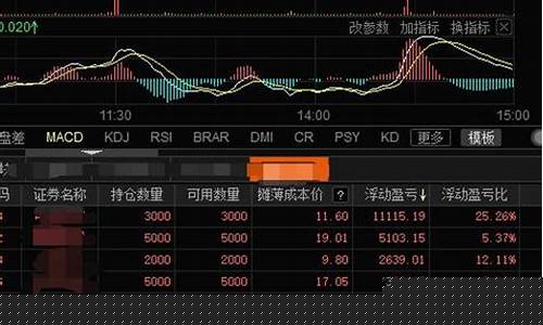 股票公司亏损看哪里